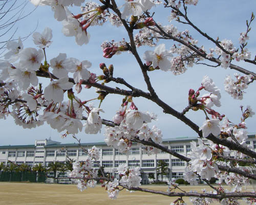 入学式